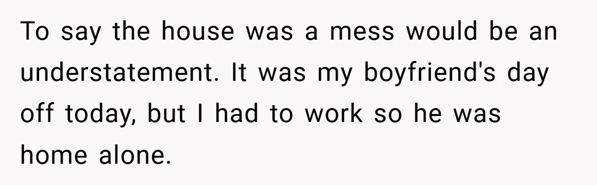 To say the house was a mess would be an understatement. It was my boyfriend's day off today, but I had to work so he was home alone.