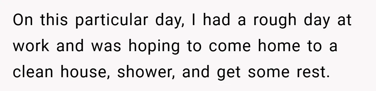 On this particular day, I had a rough day at work and was hoping to come home to a clean house, shower, and get some rest.