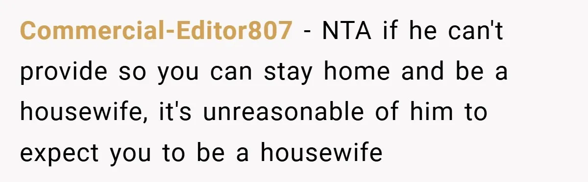 Commercial-Editor807 − NTA if he can't provide so you can stay home and be a housewife, it's unreasonable of him to expect you to be a housewife