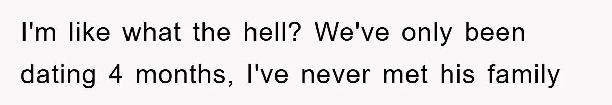 I'm like what the hell? We've only been dating 4 months, I've never met his family