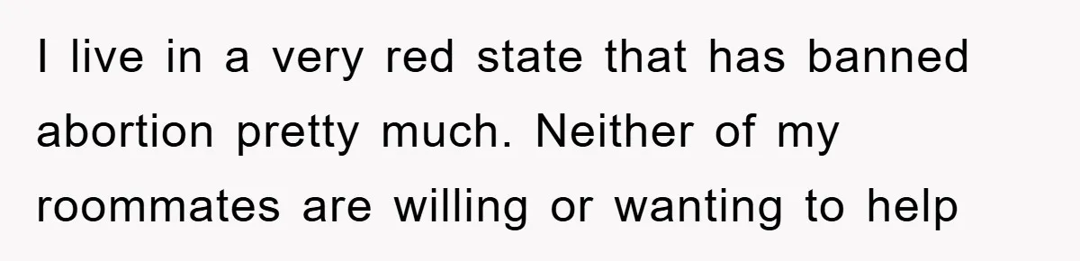 I live in a very red state that has banned abortion pretty much. Neither of my roommates are willing or wanting to help