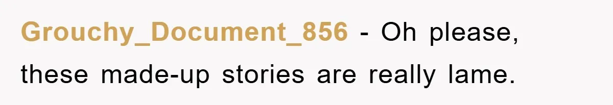 Grouchy_Document_856 − Oh please, these made-up stories are really lame.