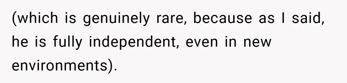 (which is genuinely rare, because as I said, he is fully independent, even in new environments).