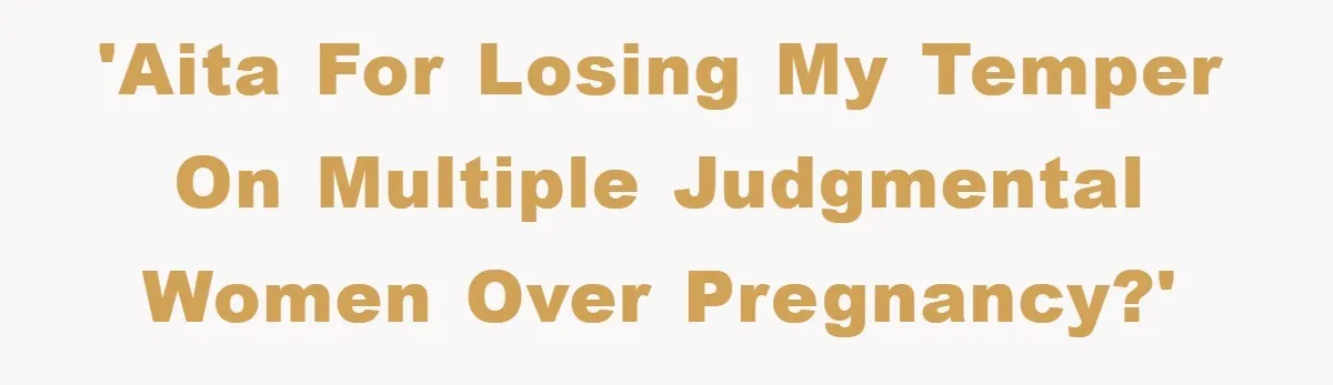 'AITA for losing my temper on multiple judgmental women over pregnancy?'