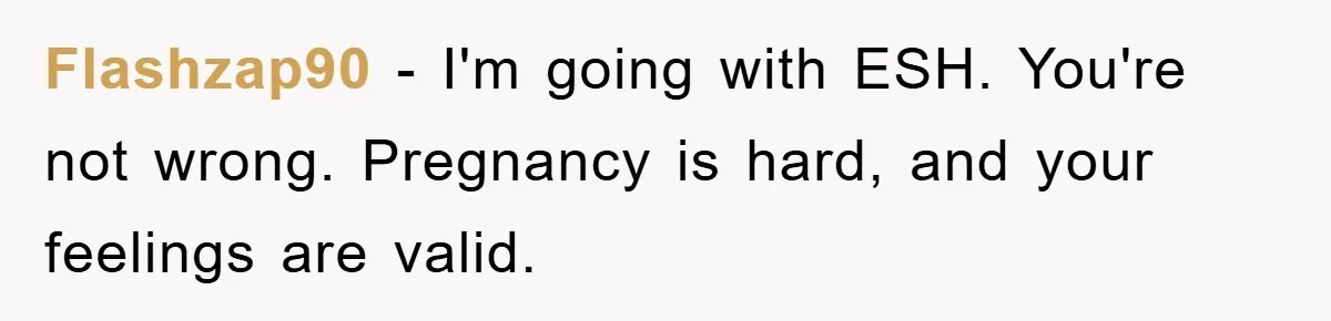 Flashzap90 − I'm going with ESH. You're not wrong. Pregnancy is hard, and your feelings are valid.