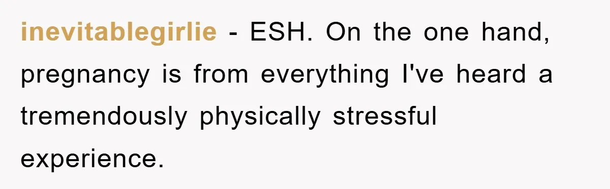 inevitablegirlie − ESH. On the one hand, pregnancy is from everything I've heard a tremendously physically stressful experience.