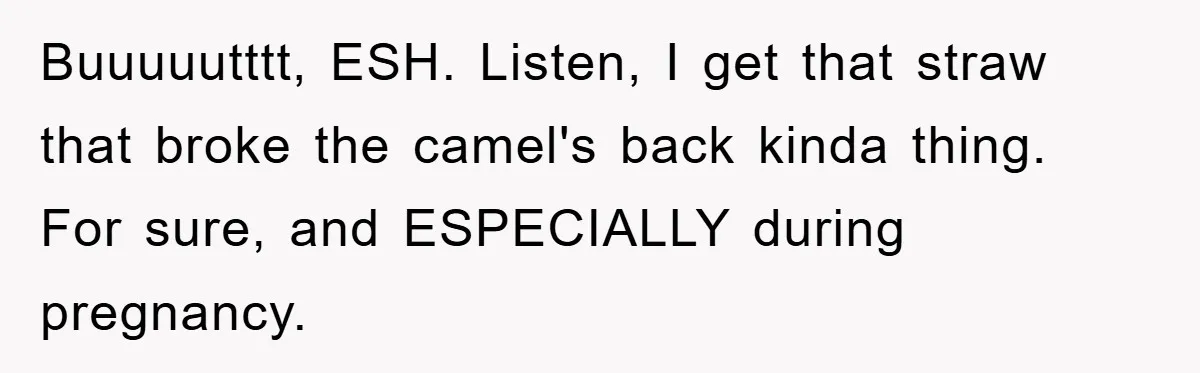 Buuuuutttt, ESH. Listen, I get that straw that broke the camel's back kinda thing. For sure, and ESPECIALLY during pregnancy.