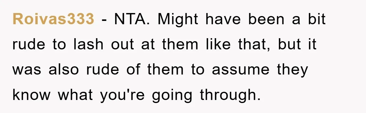Roivas333 − NTA. Might have been a bit rude to lash out at them like that, but it was also rude of them to assume they know what you're going...