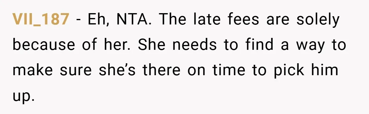 VII_187 − Eh, NTA. The late fees are solely because of her. She needs to find a way to make sure she’s there on time to pick him up.
