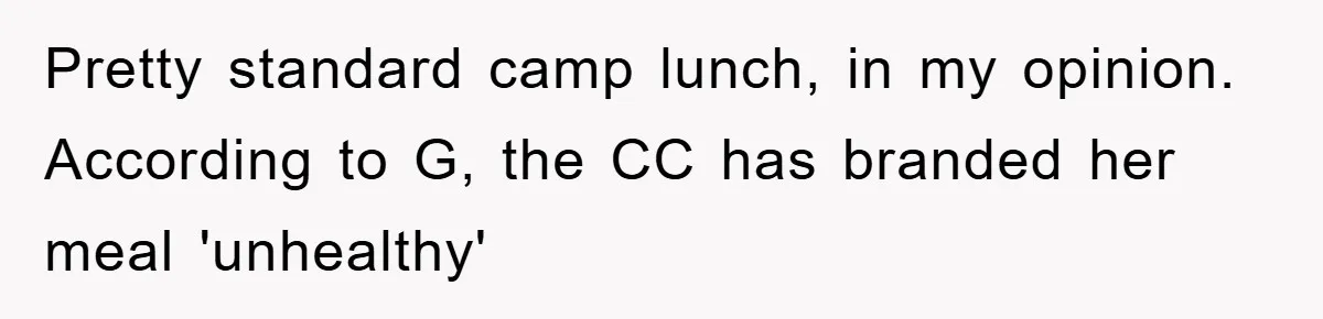 Pretty standard camp lunch, in my opinion. According to G, the CC has branded her meal 'unhealthy'
