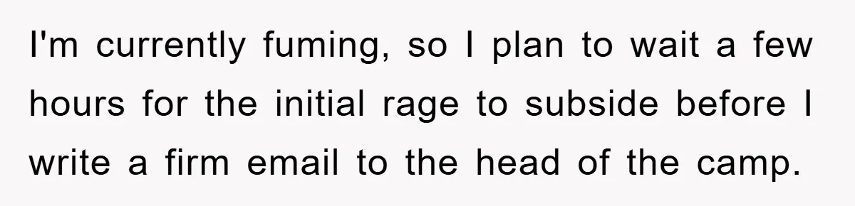 I'm currently fuming, so I plan to wait a few hours for the initial rage to subside before I write a firm email to the head of the camp.