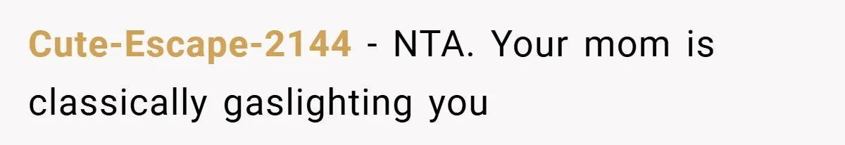 Cute-Escape-2144 − NTA. Your mom is classically gaslighting you