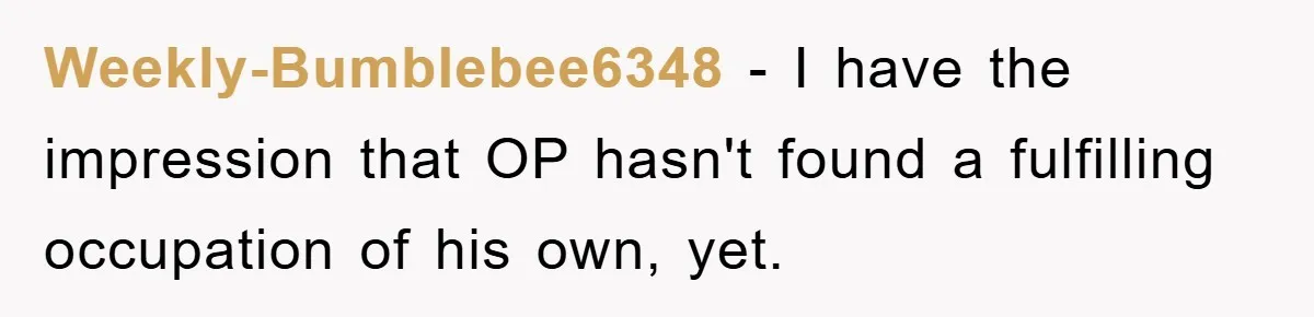 “It’s Just A Passion Project”, Man’s Comment About His Wife’s Career Sparks Family Feud Weekly-Bumblebee6348 − I have the impression that OP hasn't found a fulfilling occupation of his own, yet.