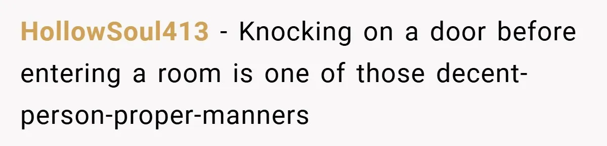 HollowSoul413 − Knocking on a door before entering a room is one of those decent-person-proper-manners