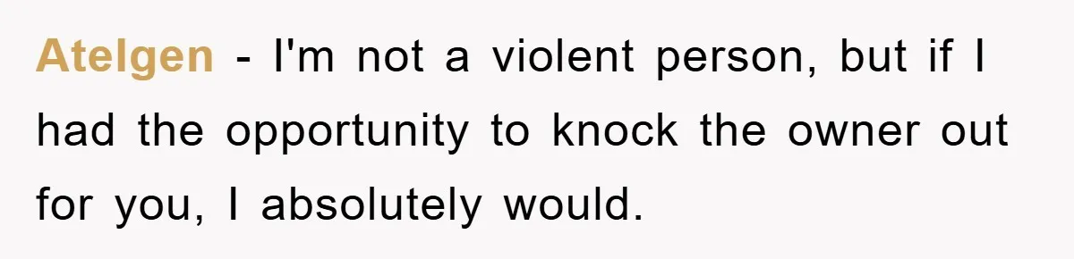 Atelgen − I'm not a violent person, but if I had the opportunity to knock the owner out for you, I absolutely would.