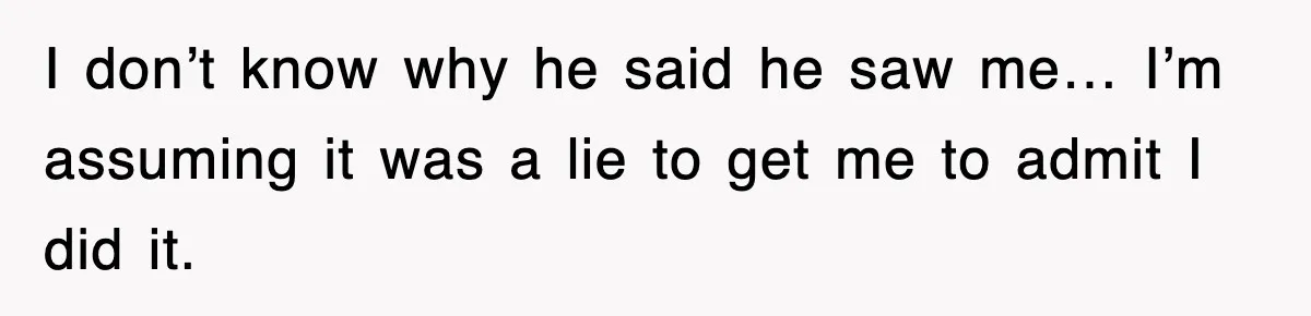 I don’t know why he said he saw me… I’m assuming it was a lie to get me to admit I did it.