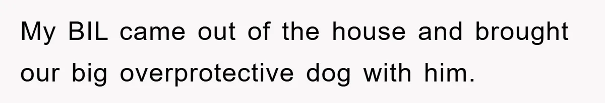 My BIL came out of the house and brought our big overprotective dog with him.