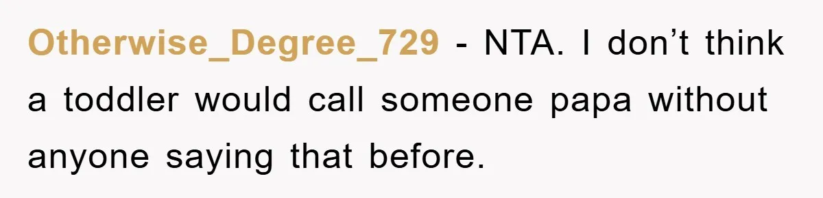 Otherwise_Degree_729 − NTA. I don’t think a toddler would call someone papa without anyone saying that before.