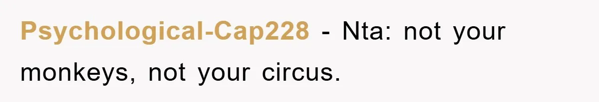 Psychological-Cap228 − Nta: not your monkeys, not your circus.