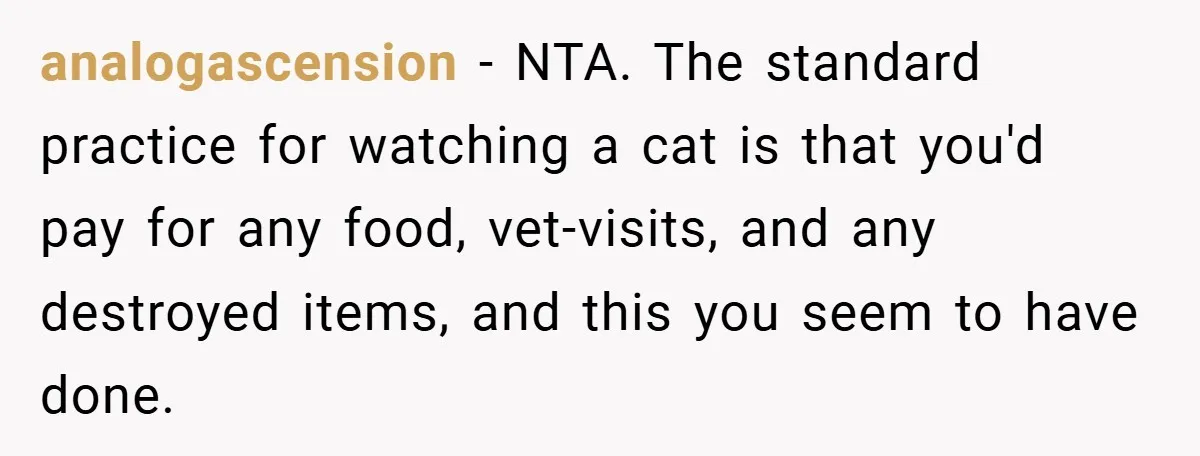 analogascension − NTA. The standard practice for watching a cat is that you'd pay for any food, vet-visits, and any destroyed items, and this you seem to have done.