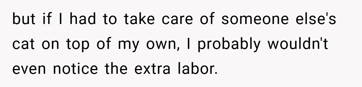 but if I had to take care of someone else's cat on top of my own, I probably wouldn't even notice the extra labor.