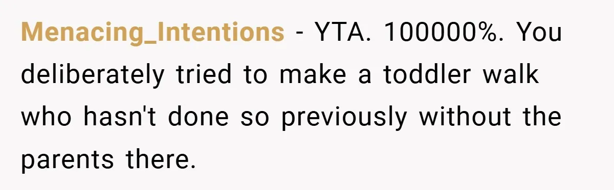 Menacing_Intentions − YTA. 100000%. You deliberately tried to make a toddler walk who hasn't done so previously without the parents there.