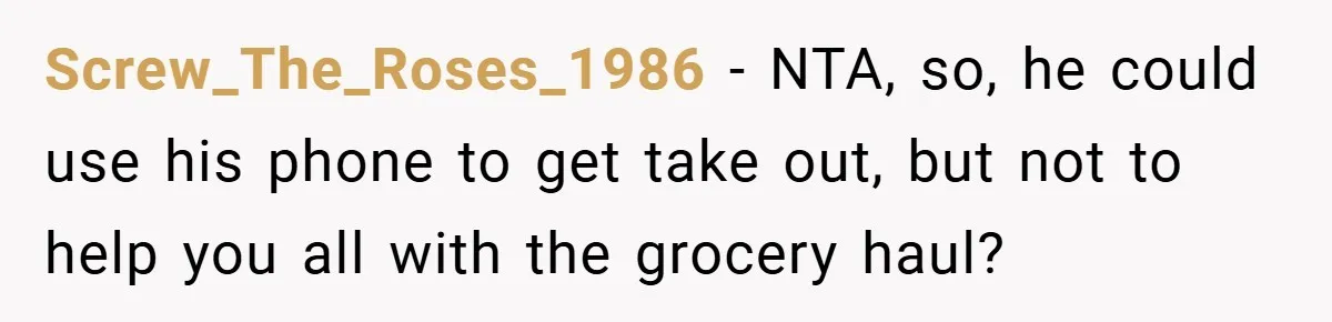 Screw_The_Roses_1986 − NTA, so, he could use his phone to get take out, but not to help you all with the grocery haul?