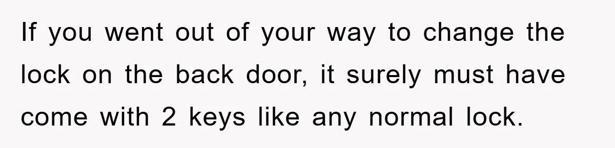 If you went out of your way to change the lock on the back door, it surely must have come with 2 keys like any normal lock.