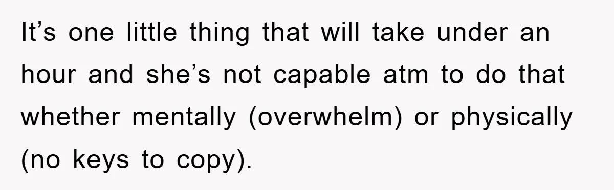 It’s one little thing that will take under an hour and she’s not capable atm to do that whether mentally (overwhelm) or physically (no keys to copy).