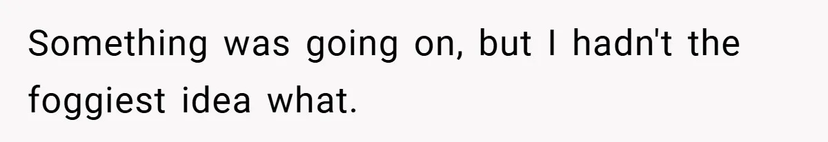 Something was going on, but I hadn't the foggiest idea what.
