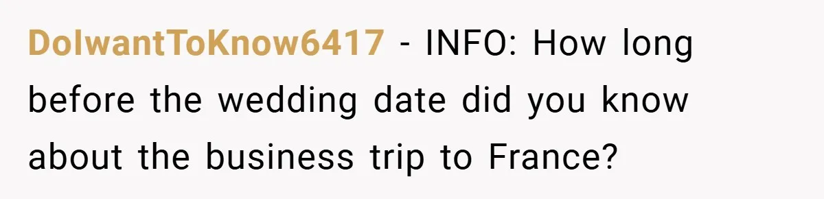 DoIwantToKnow6417 − INFO: How long before the wedding date did you know about the business trip to France?