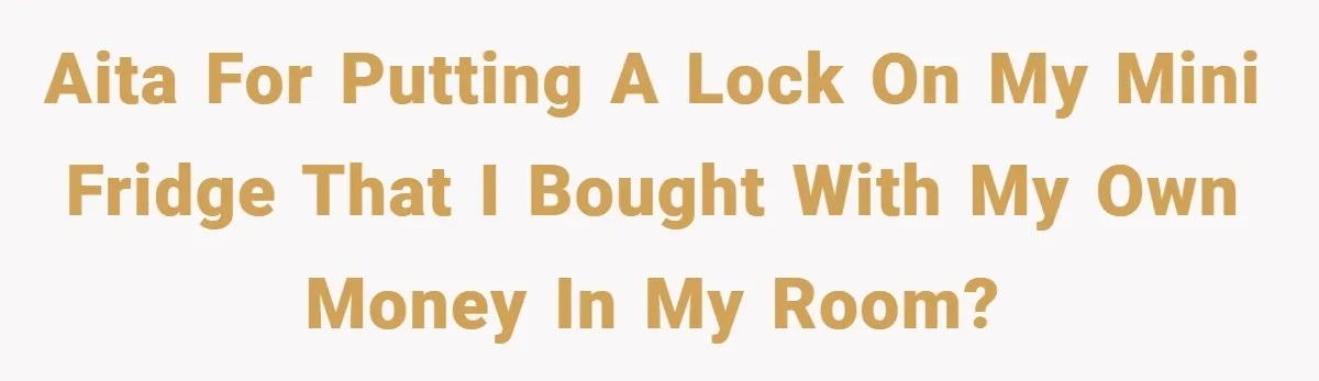 AITA for putting a lock on my mini fridge that I bought with my own money in my room?