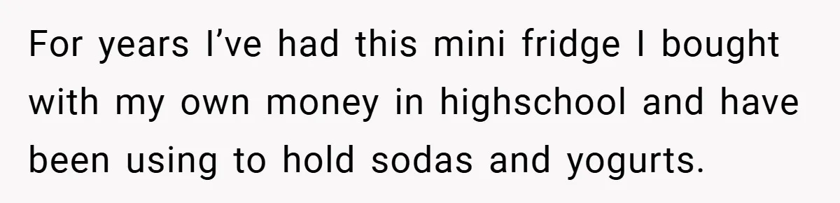For years I’ve had this mini fridge I bought with my own money in highschool and have been using to hold sodas and yogurts.