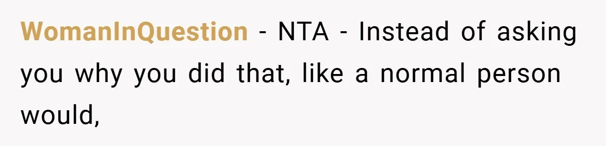 WomanInQuestion − NTA - Instead of asking you why you did that, like a normal person would,