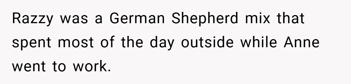 Razzy was a German Shepherd mix that spent most of the day outside while Anne went to work.