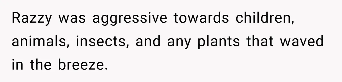 Razzy was aggressive towards children, animals, insects, and any plants that waved in the breeze.