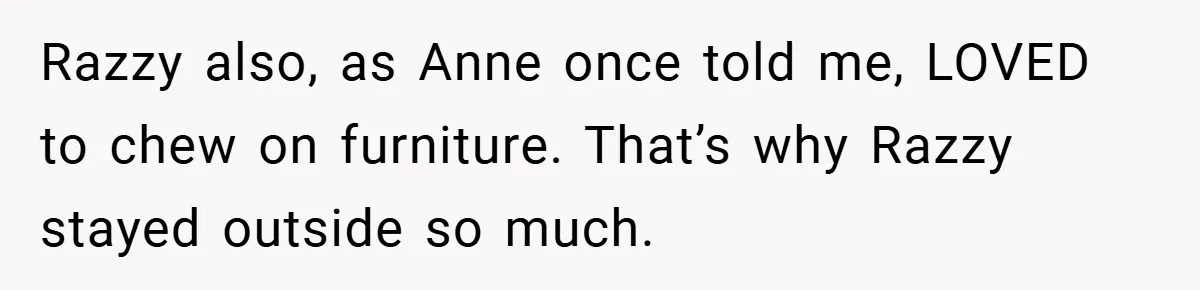 Razzy also, as Anne once told me, LOVED to chew on furniture. That’s why Razzy stayed outside so much.