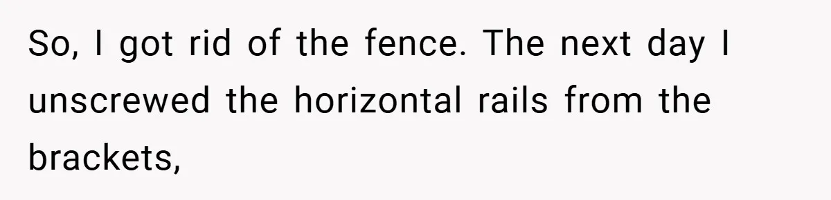 So, I got rid of the fence. The next day I unscrewed the horizontal rails from the brackets,