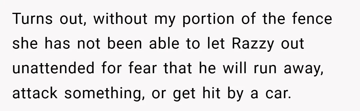 Turns out, without my portion of the fence she has not been able to let Razzy out unattended for fear that he will run away, attack something, or get hit...