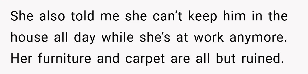She also told me she can’t keep him in the house all day while she’s at work anymore. Her furniture and carpet are all but ruined.