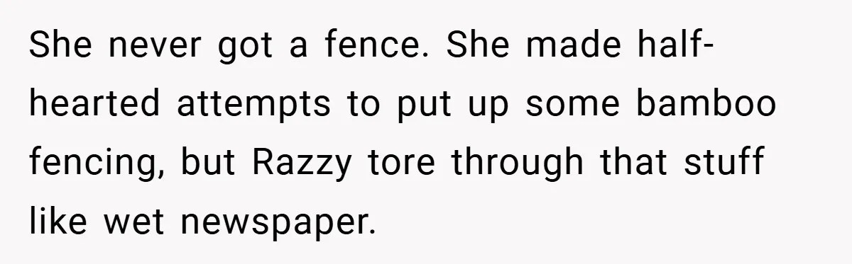 She never got a fence. She made half-hearted attempts to put up some bamboo fencing, but Razzy tore through that stuff like wet newspaper.