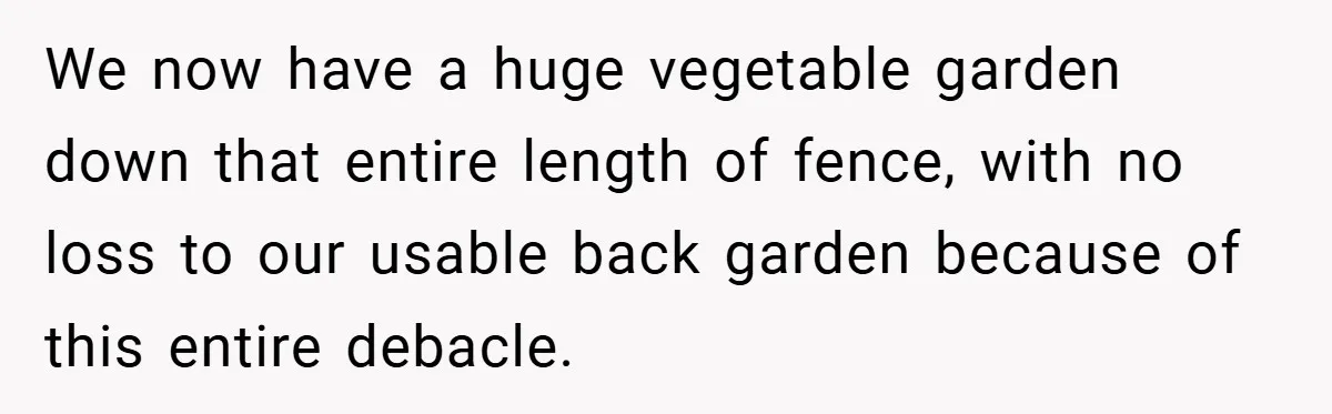 We now have a huge vegetable garden down that entire length of fence, with no loss to our usable back garden because of this entire debacle.