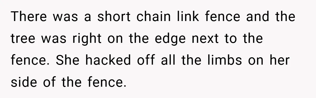 There was a short chain link fence and the tree was right on the edge next to the fence. She hacked off all the limbs on her side of the...