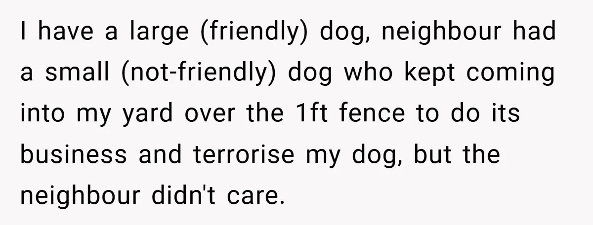 I have a large (friendly) dog, neighbour had a small (not-friendly) dog who kept coming into my yard over the 1ft fence to do its business and terrorise my dog,...