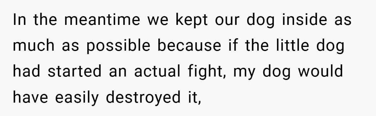 In the meantime we kept our dog inside as much as possible because if the little dog had started an actual fight, my dog would have easily destroyed it,