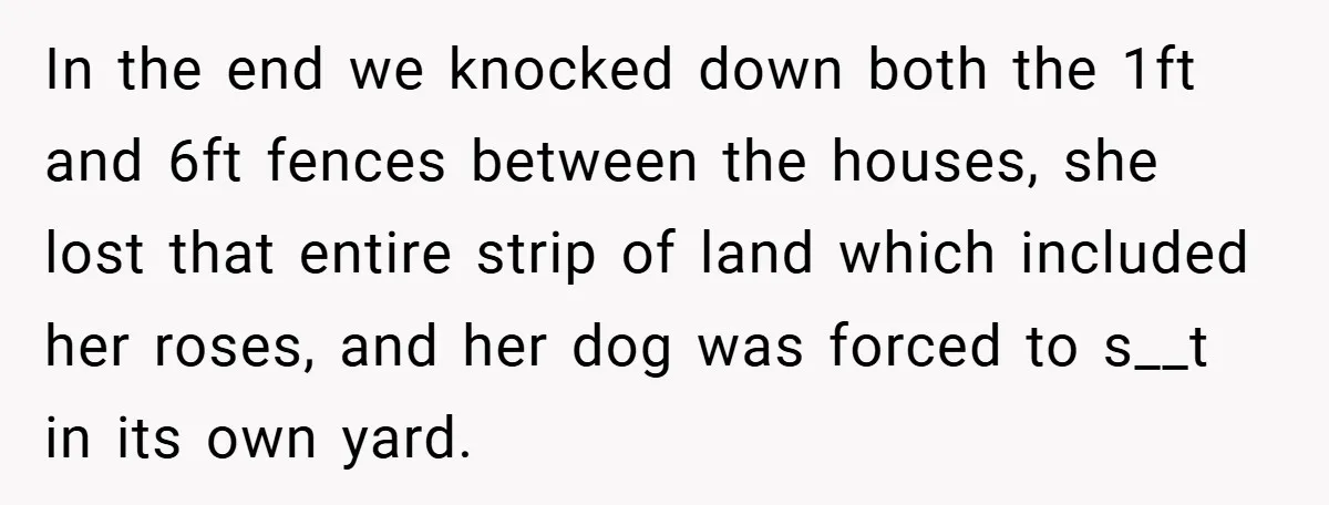 In the end we knocked down both the 1ft and 6ft fences between the houses, she lost that entire strip of land which included her roses, and her dog was...