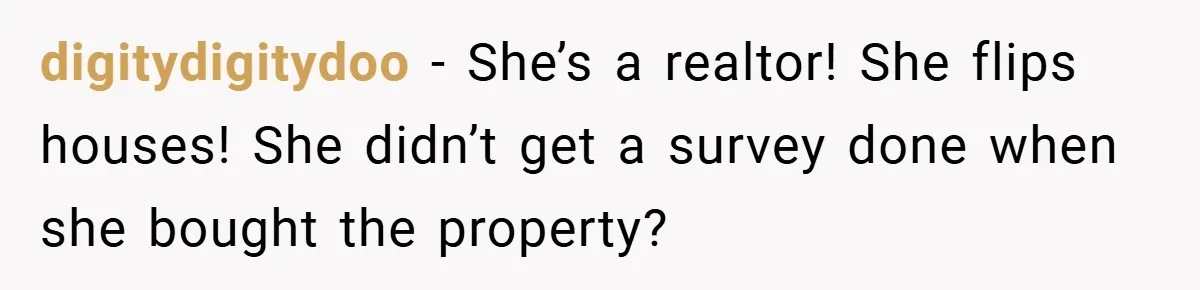 digitydigitydoo − She’s a realtor! She flips houses! She didn’t get a survey done when she bought the property?