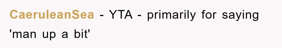 CaeruleanSea − YTA - primarily for saying 'man up a bit'