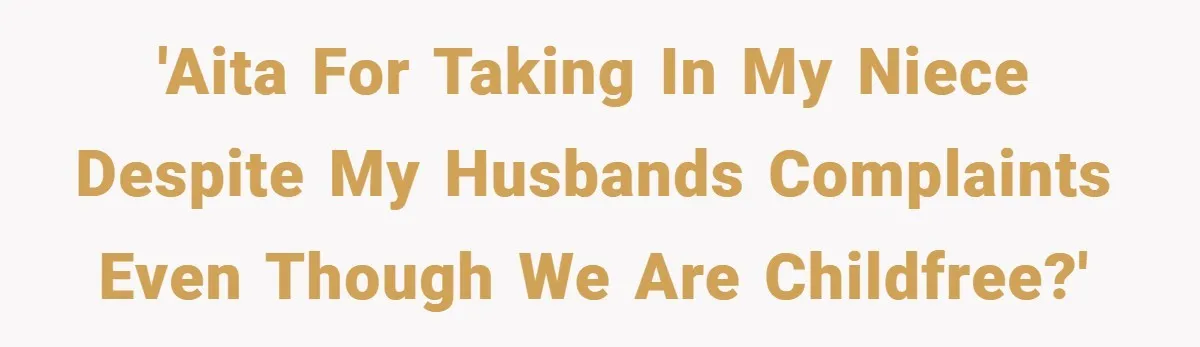 'AITA for taking in my niece despite my husbands complaints even though we are childfree?'