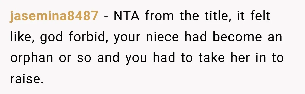 jasemina8487 − NTA from the title, it felt like, god forbid, your niece had become an orphan or so and you had to take her in to raise.